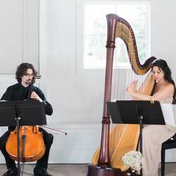 Lily Press, Harp and Simon Linn-Gerstein, Cello, profile image