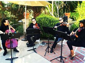 La Jolla Strings - String Quartet - San Diego, CA - Hero Gallery 2