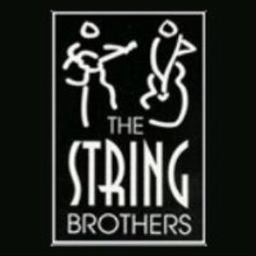 The String Brothers - String Quartet - Buffalo, NY - Hero Main
