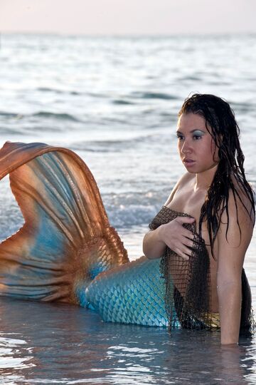 The Florida Mermaid - Costumed Character - Tampa, FL - Hero Main