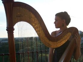 Amanda Woosley - Harpist - Austin, TX - Hero Gallery 1