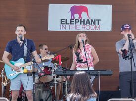 Elephant In The Room - Cover Band - Waltham, MA - Hero Gallery 1