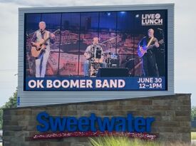 OK BOOMER BAND - Acoustic Band - Fort Wayne, IN - Hero Gallery 2