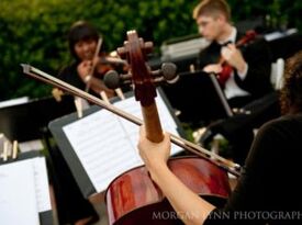 Divisi Strings | Big Sounds for your Big Day - String Quartet - Houston, TX - Hero Gallery 3