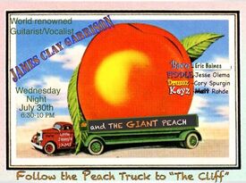 THE GIANT PEACH-"The Knot" mag's top SoCal bands  - Variety Band - Laguna Beach, CA - Hero Gallery 1