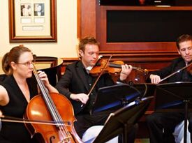 The Armonico String Ensemble - String Quartet - Atlanta, GA - Hero Gallery 4