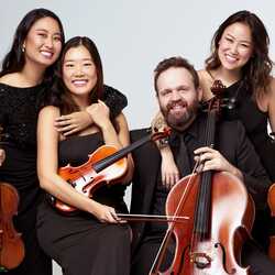 Ponce City String Quartet, profile image