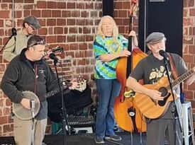The Donner Party String Band - Bluegrass Band - Saint Louis, MO - Hero Gallery 4