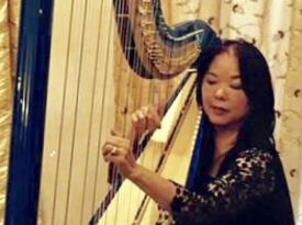 Harp Music By Vonette - Harpist - Beverly Hills, CA - Hero Gallery 1