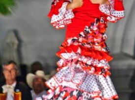 Paloma Rios - Flamenco Dancer - Long Island City, NY - Hero Gallery 3