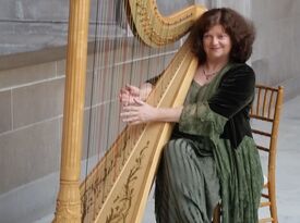 Lara Garner, harpist/pianist/string trio - Harpist - San Francisco, CA - Hero Gallery 2