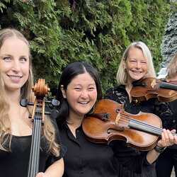 Enchanted String Quartet, profile image