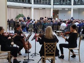 Viva la Strings - String Quartet - Dayton, OH - Hero Gallery 2