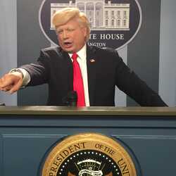 Donald Trump Impersonator John Di Domenico Comedy, profile image