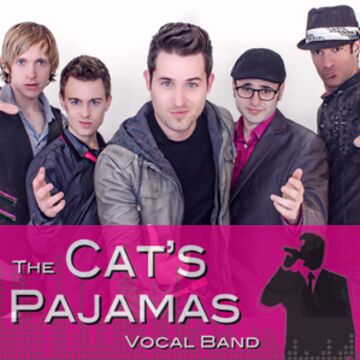 The Cat's Pajamas: Vocal Band  - A Cappella Group - New York City, NY - Hero Main