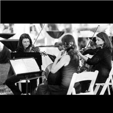Strings Attached, Inc. - String Quartet - Sarasota, FL - Hero Main