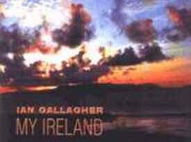 Ian Gallagher - Irish Band - Bridgewater, NJ - Hero Gallery 2