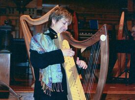 Meredith Kohn Bocek - Harpist - Vestal, NY - Hero Gallery 2