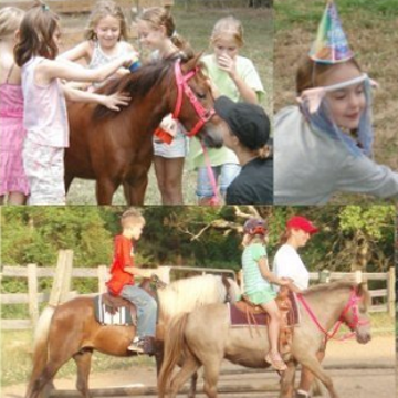Pony Party! - Animal For A Party - Memphis, TN - Hero Main