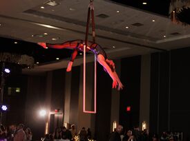 Framed Circus- Aerial Acrobatics, Juggling & Dance - Acrobat - Philadelphia, PA - Hero Gallery 1