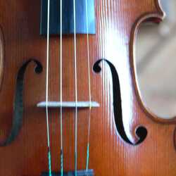 PERFECT HARMONY STRINGS: CHICAGO, profile image