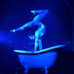 Cirque-tacular - Las Vegas -Themed & Circus Events, profile image