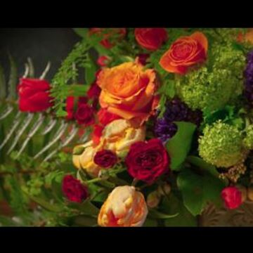 Terra Bella Flowers - Florist - Seattle, WA - Hero Main