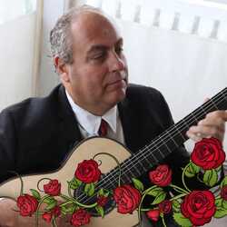 Victor Tarassov Classical Flamenco Guitar, profile image