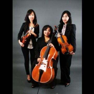 Amaris Trio - Classical Quartet - Reston, VA - Hero Main