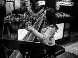 Alyssa Hall, Professional Harpist - Harpist - Stedman, NC - Hero Gallery 2