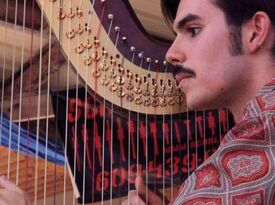 Gian Torrano Jacobs - Harpist - New Egypt, NJ - Hero Gallery 2