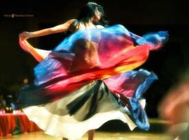 Dilaradance - Belly Dancer - Lawrenceville, GA - Hero Gallery 2