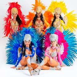 Samba Show - Spirit Of Samba Entertainment, profile image