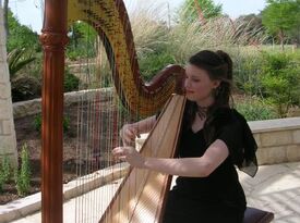 Amanda Woosley - Harpist - Austin, TX - Hero Gallery 3