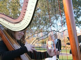 VeeRonna - Harpist - Thousand Oaks, CA - Hero Gallery 1