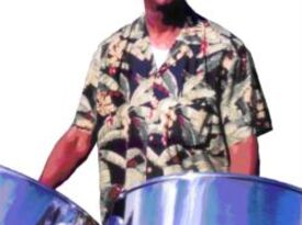 Terry Figuera - SEQUENCE & STEEL - Steel Drummer - Oakland, CA - Hero Gallery 1