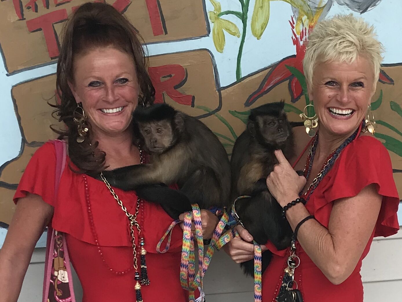 Twins and Jungle Friends - Animal For A Party Sebring, FL - The Bash