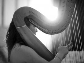 Talia Mailman, Harpist - Harpist - Houston, TX - Hero Gallery 2