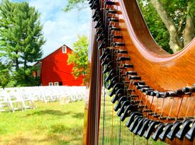 Rose Melody Performances - Harpist - Tallmadge, OH - Hero Gallery 1