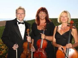 Strings For Your Heart - String Quartet - Fallbrook, CA - Hero Gallery 4