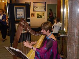 Meredith Kohn Bocek - Harpist - Vestal, NY - Hero Gallery 1