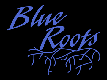 Blue Roots - Blues Band - Port Jefferson, NY - Hero Main