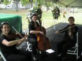 New Orleans Classical & Jazz - String Quartet - New Orleans, LA - Hero Gallery 1