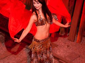 Najla - Belly Dancer - Chillicothe, OH - Hero Gallery 4