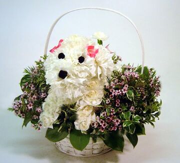 Best Flowers by Julie - Florist - Reno, NV - Hero Main