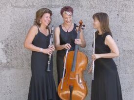 Del Lago Trio - String Quartet - Mission Viejo, CA - Hero Gallery 4