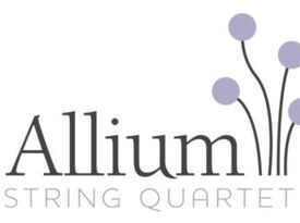 Allium Strings - String Quartet - Madison, WI - Hero Gallery 3