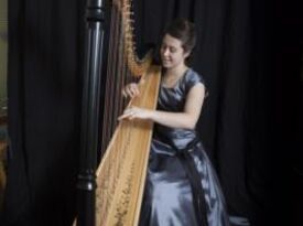 Harpist For The King - Harpist - Lilburn, GA - Hero Gallery 4