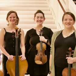 Oak String Quartet, profile image