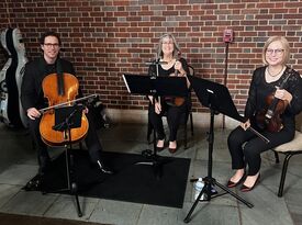 String trio - String Quartet - Franklin, TN - Hero Gallery 4